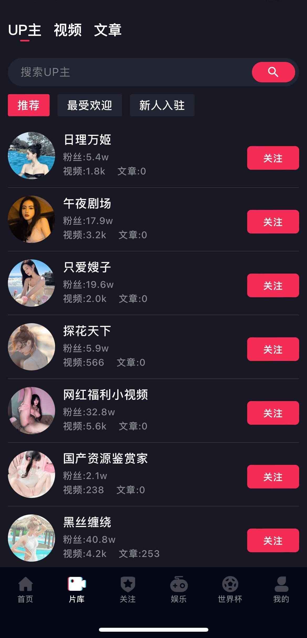 片库UP主列表
